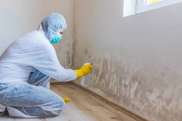 Licensed Commercial Mold Remediation service in Saddle Brook, NJ - WQB Mold Removal
