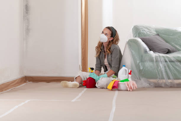 Reliable Commercial Mold Remediation contractor in Saddle Brook, NJ by WQB Mold Removal